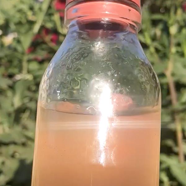 RECETARIO 20 FÓRMULAS SHAMPOO LÍQUIDO