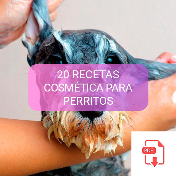 RECETARIO 20 RECETAS DE HIGIENE PARA PERRITOS