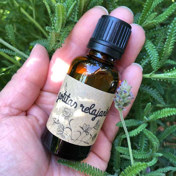 Taller online en vivo FITOTERAPIA 09/04/2026