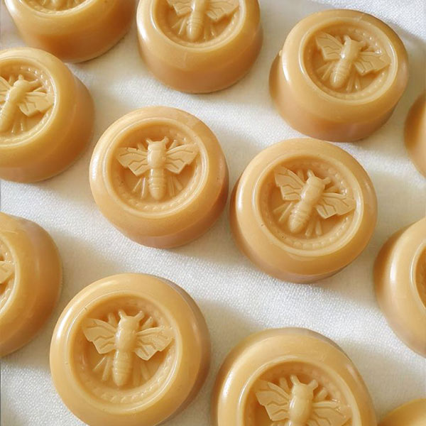 RECETARIO 20 FÓRMULAS PRODUCTOS CON MIEL Y CERA DE ABEJAS