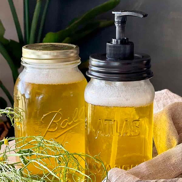 RECETARIO 2O PRODUCTOS LIMPIEZA DEL HOGAR RESIDUO ZERO