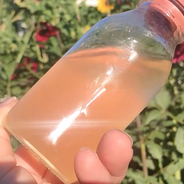 RECETARIO 20 FÓRMULAS  SHAMPOO LÍQUIDO