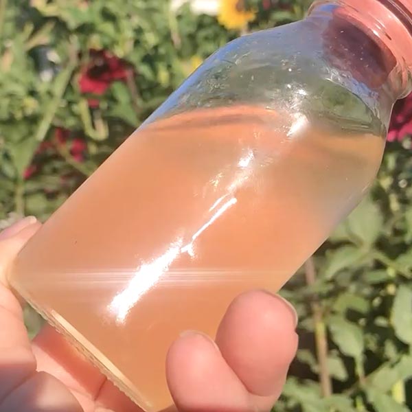 CURSO ELABORACIÓN  PRODUCTOS LÍQUIDOS (SH-JABÓN LÍQUIDO-ACONDICONADOR-EMULSIONES BÁSICAS)
