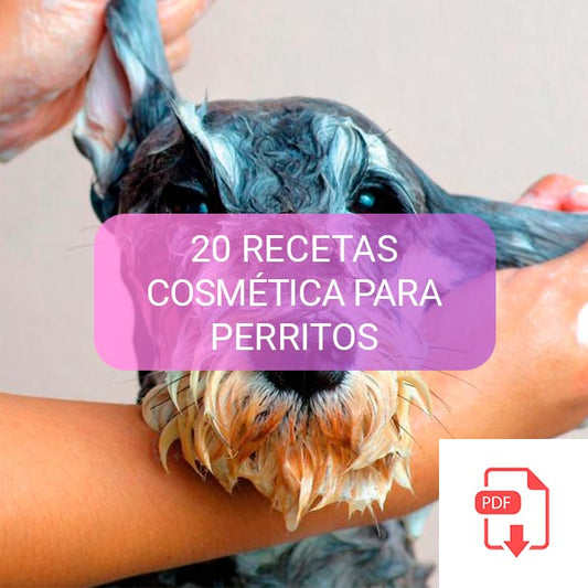 RECETARIO 20 RECETAS DE HIGIENE  PARA PERRITOS