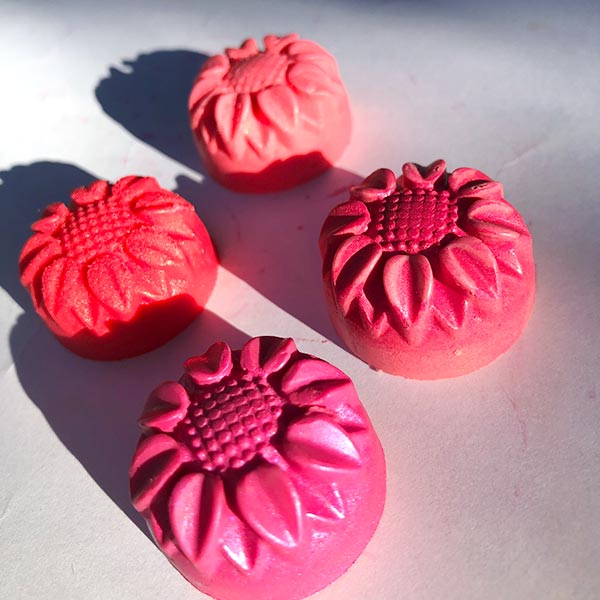 Taller online en vivo de Eco-maquillaje. EVENTO ÚNICO EL 10/06/2025