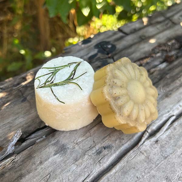 Taller online en vivo de Sólidos EVENTO ÚNICO EL 05/02/2026 19:00 hrs