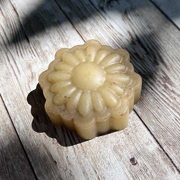 Taller online en vivo de Sólidos EVENTO ÚNICO EL 05/02/2026 19:00 hrs