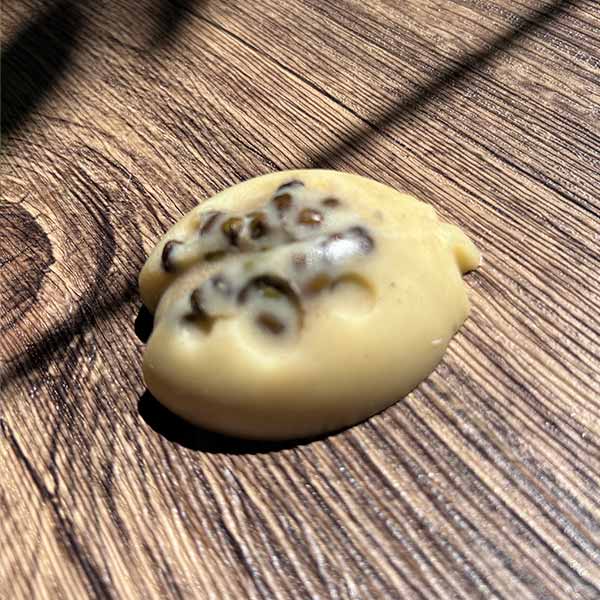 Taller online en vivo de Sólidos EVENTO ÚNICO EL 05/02/2026 19:00 hrs