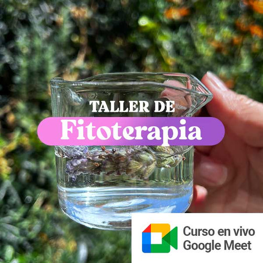 Taller online en vivo FITOTERAPIA 09/04/2026
